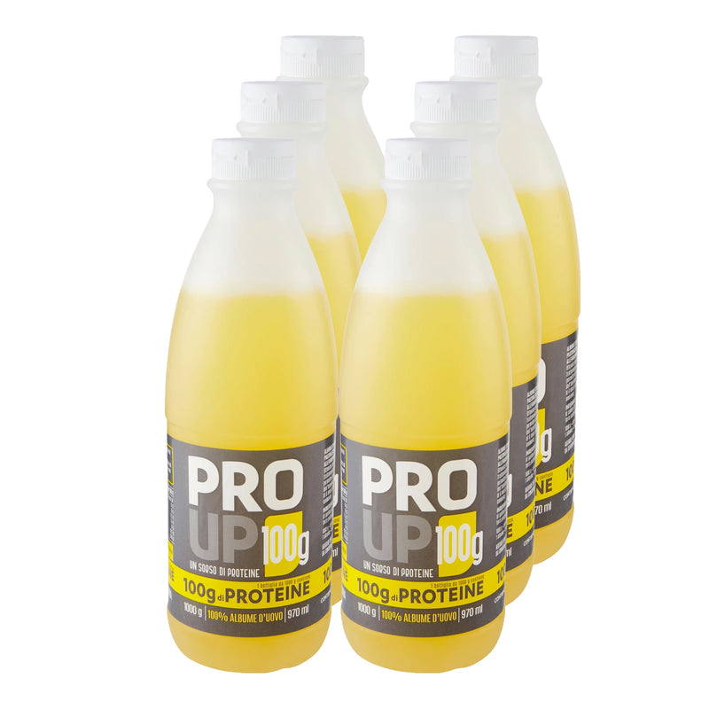 BLANC D'OEUF LIQUIDE MADINFIT BLANC D'OEUF LIQUIDE MADINFIT